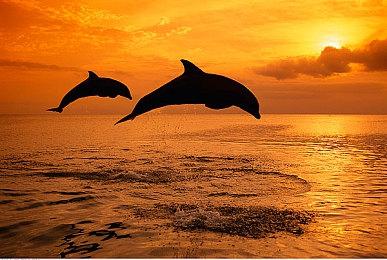 《GT7》VR版IGN评测9分 令人惊叹的模拟赛车游戏